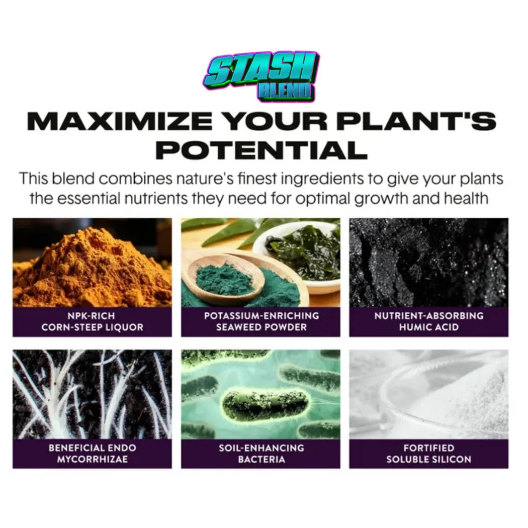 blend plant Stash Blend Premium Plant Additive 8 oz