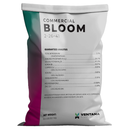 VPS Commercial Bloom