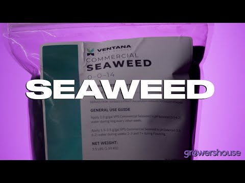 Ventana Plant Science - Commercial Seaweed - YouTube Video